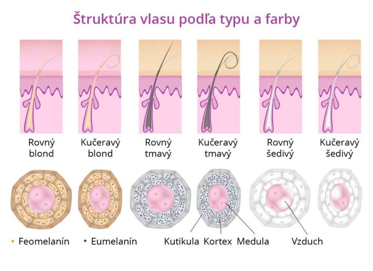 štruktúra vlasu podľa typu a farby
