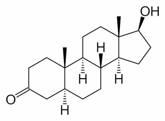 dihydrotestosteron dht