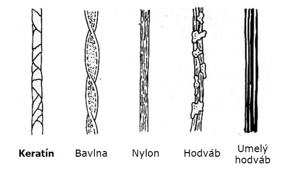 kreatínové vlákna - typy